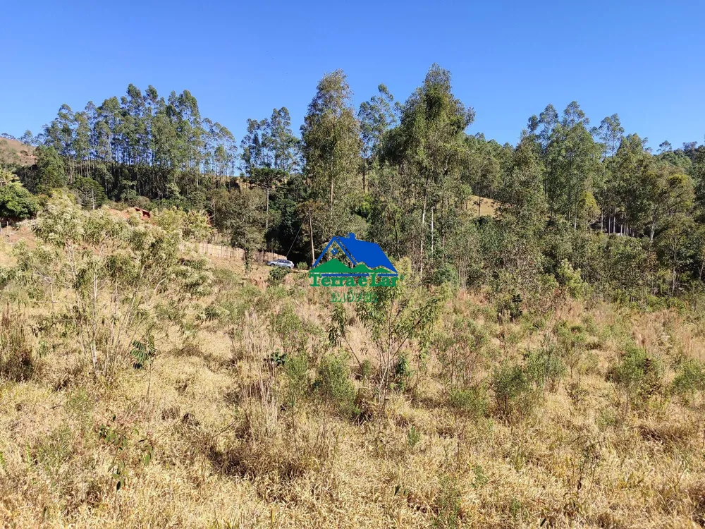 Terreno, 4 hectares - Foto 8