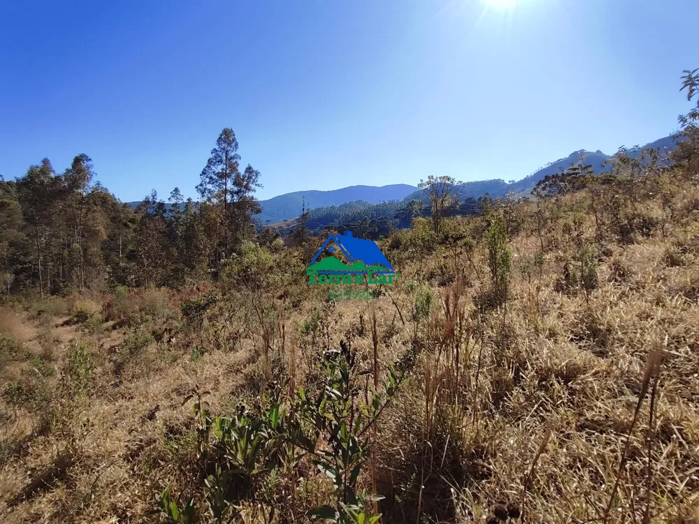 Terreno, 4 hectares - Foto 10