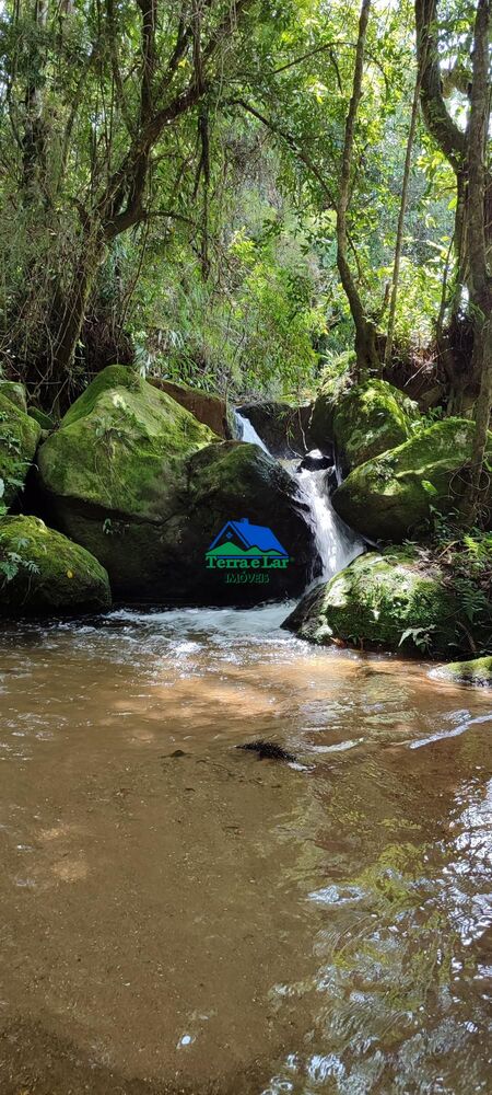 Sítio, 3 quartos, 3 hectares - Foto 4