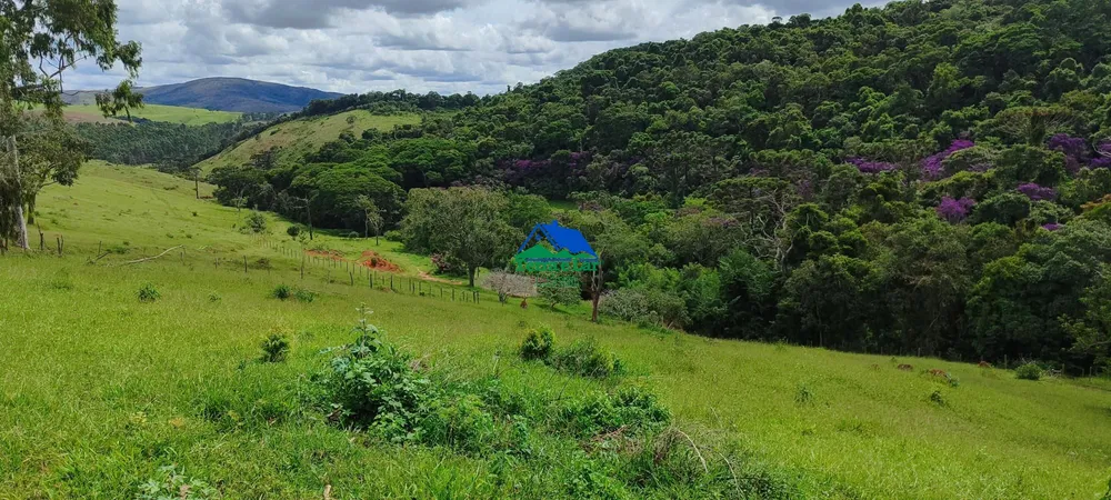 Fazenda, 58 hectares - Foto 6