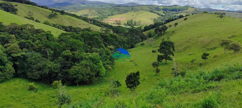 Fazenda, 58 hectares - Foto 7
