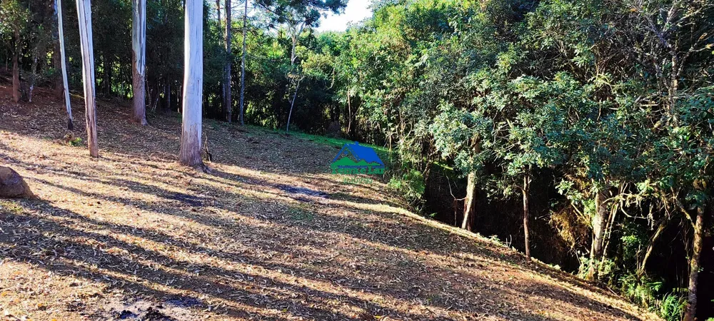 Chácara, 4 quartos, 8000 m² - Foto 13