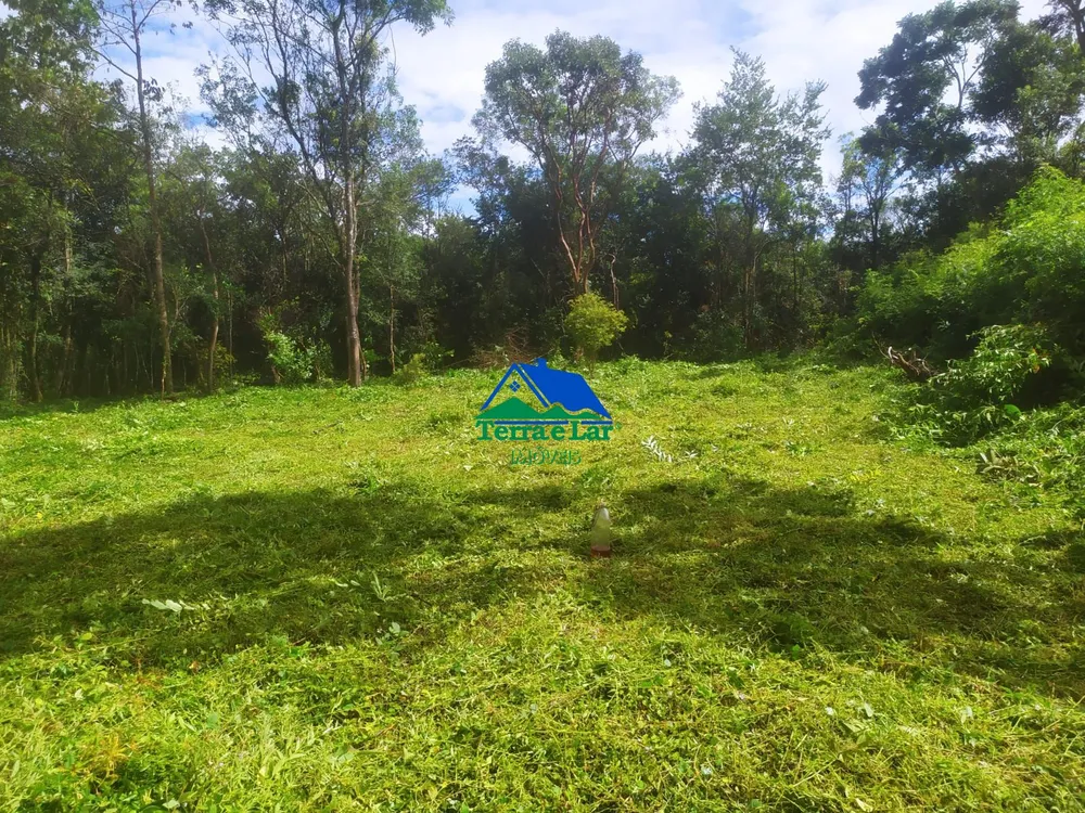 Terreno, 5 hectares - Foto 6