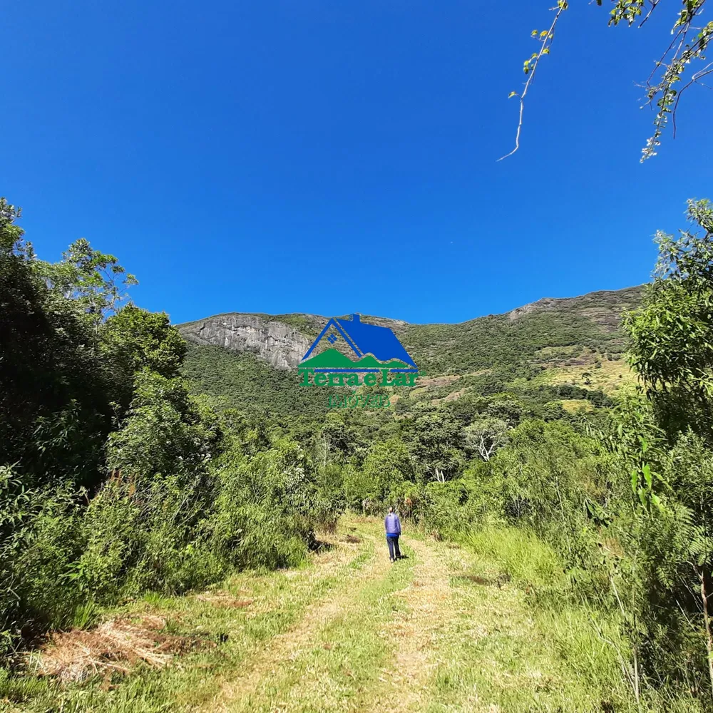Terreno, 5 hectares - Foto 4