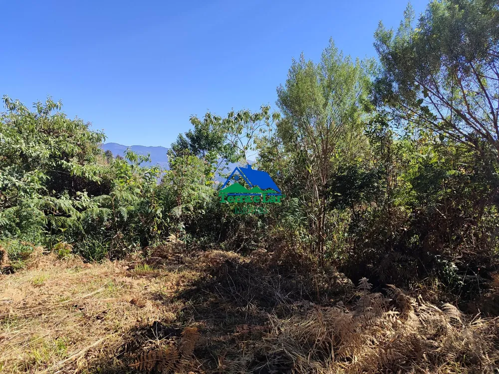 Terreno, 3 hectares - Foto 3