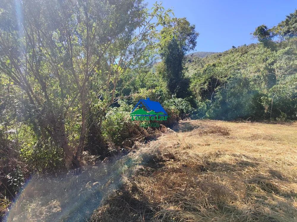 Terreno, 3 hectares - Foto 5