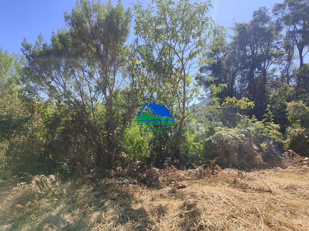 Terreno, 3 hectares - Foto 1