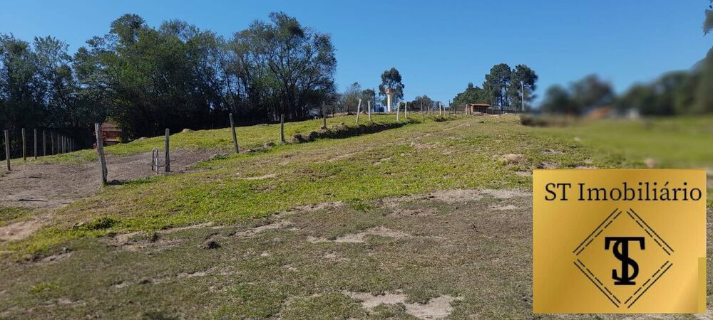 Sítio, 3 quartos, 2 hectares - Foto 3