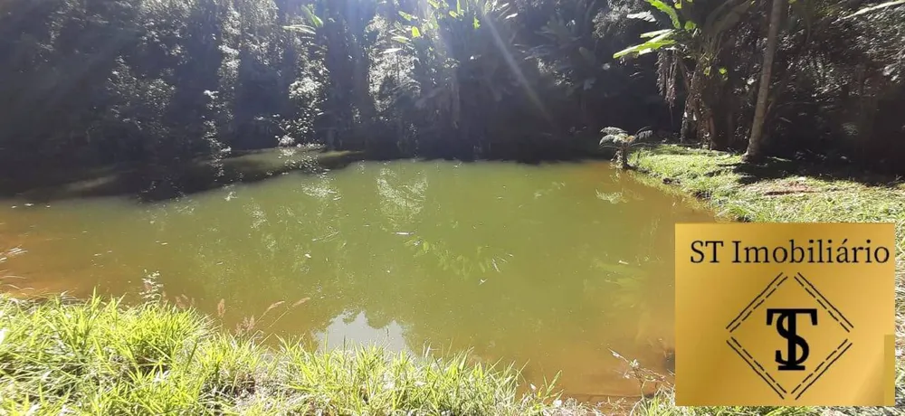Terreno, 1 hectares - Foto 1