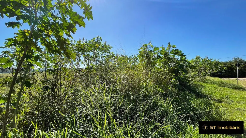 Terreno, 1000 m² - Foto 4