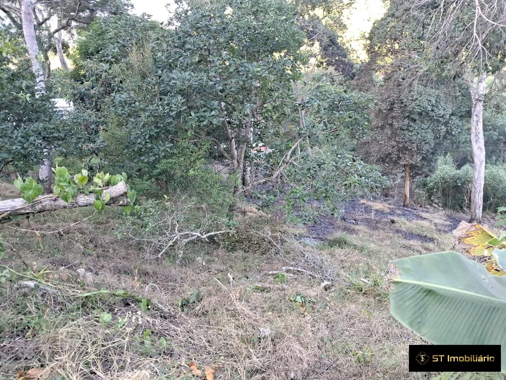 Terreno, 3600 m² - Foto 9