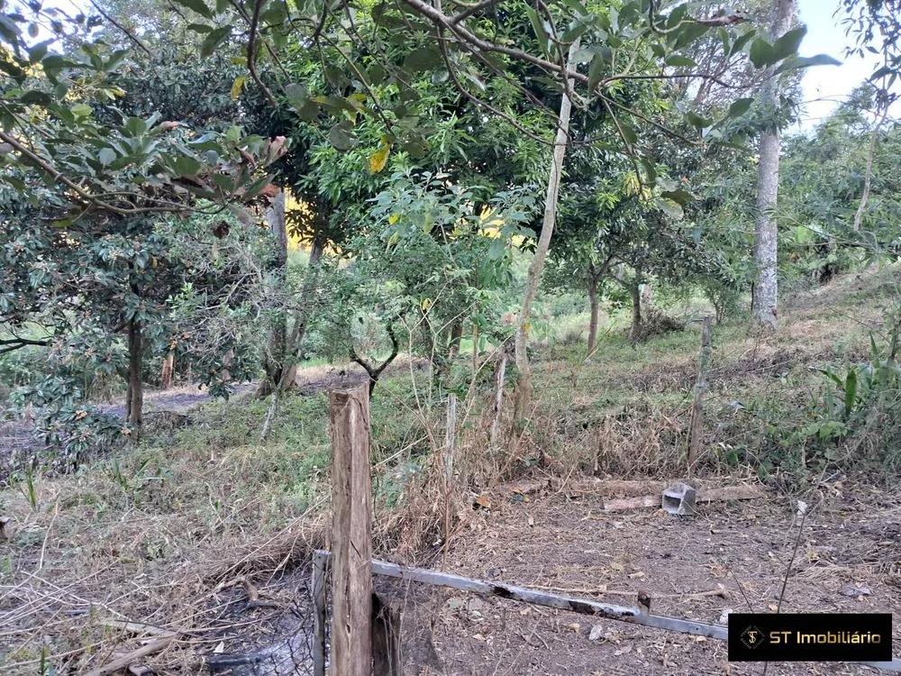 Terreno, 3600 m² - Foto 8