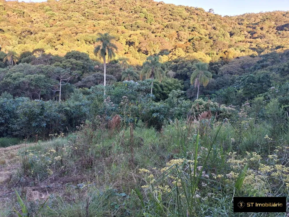 Terreno, 3600 m² - Foto 2