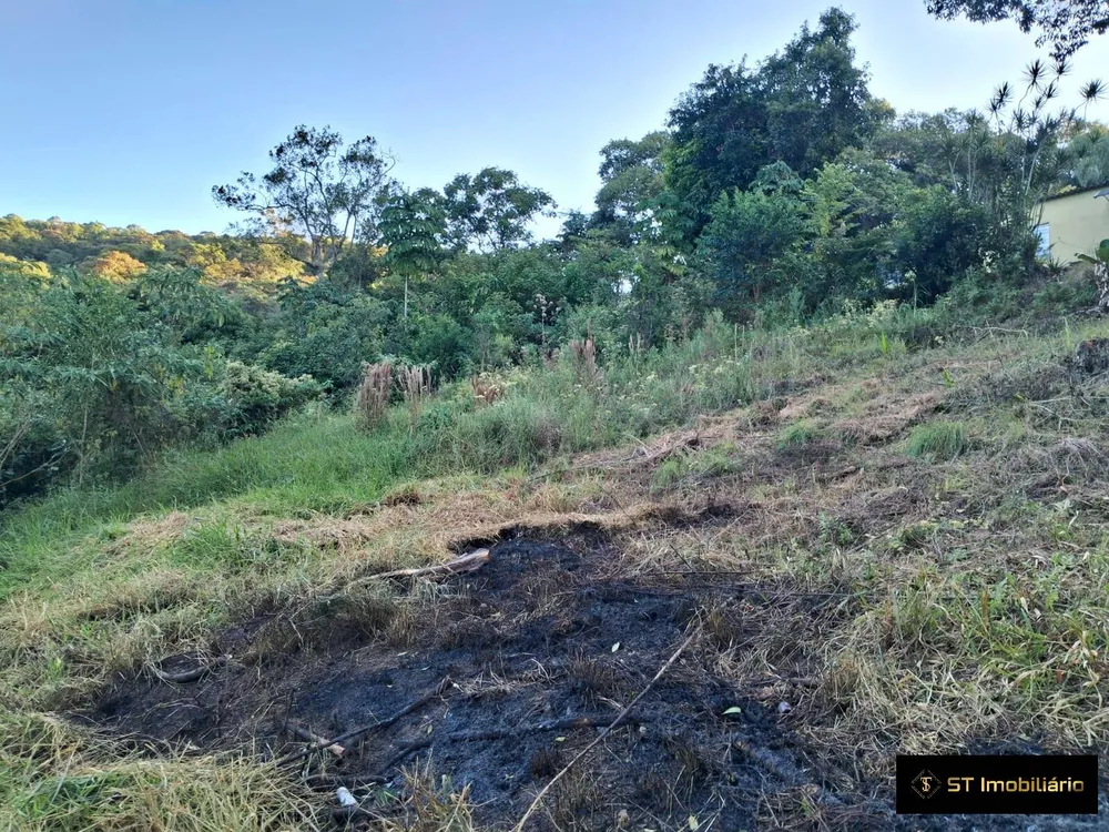 Terreno, 3600 m² - Foto 6