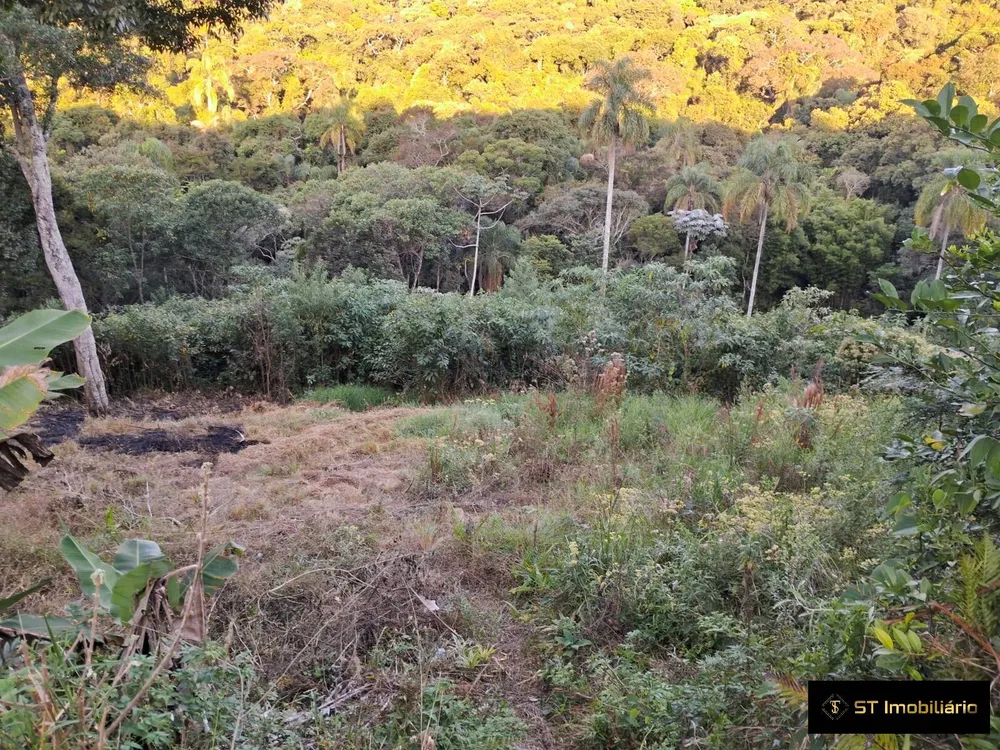 Terreno, 3600 m² - Foto 5