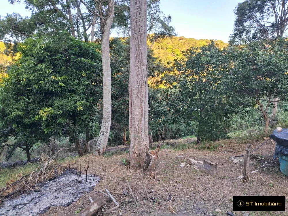 Terreno, 3600 m² - Foto 3