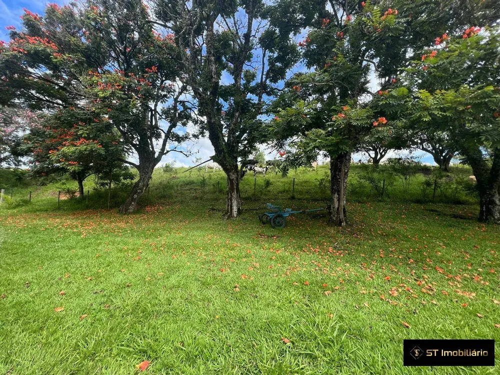 Sítio, 4 quartos, 33 hectares - Foto 12