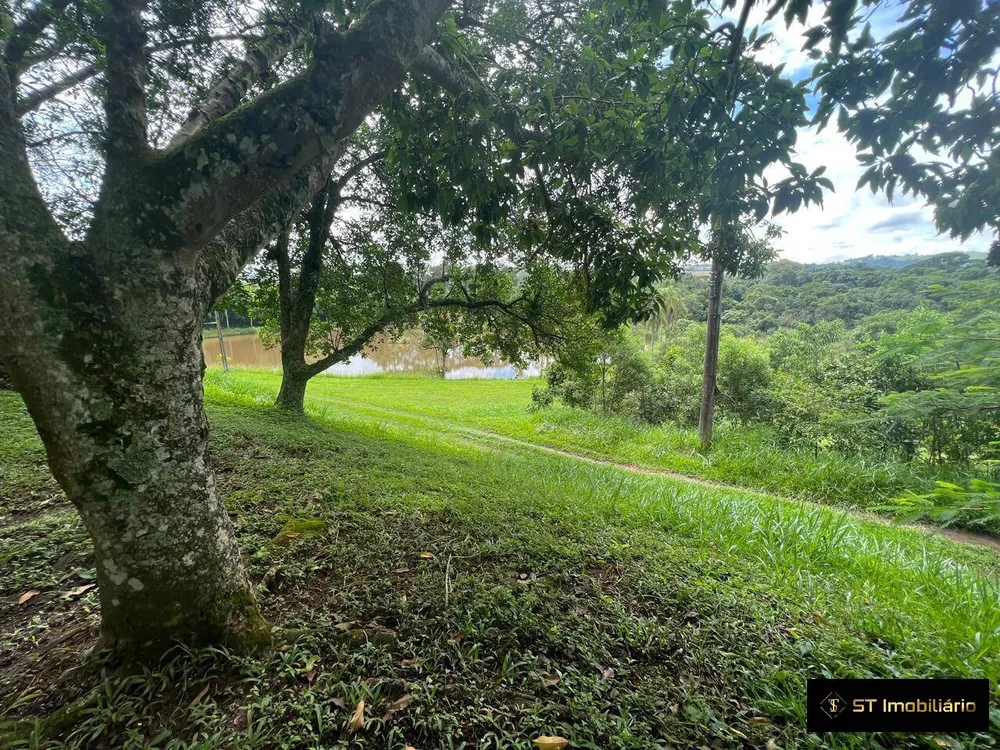 Sítio, 4 quartos, 33 hectares - Foto 8