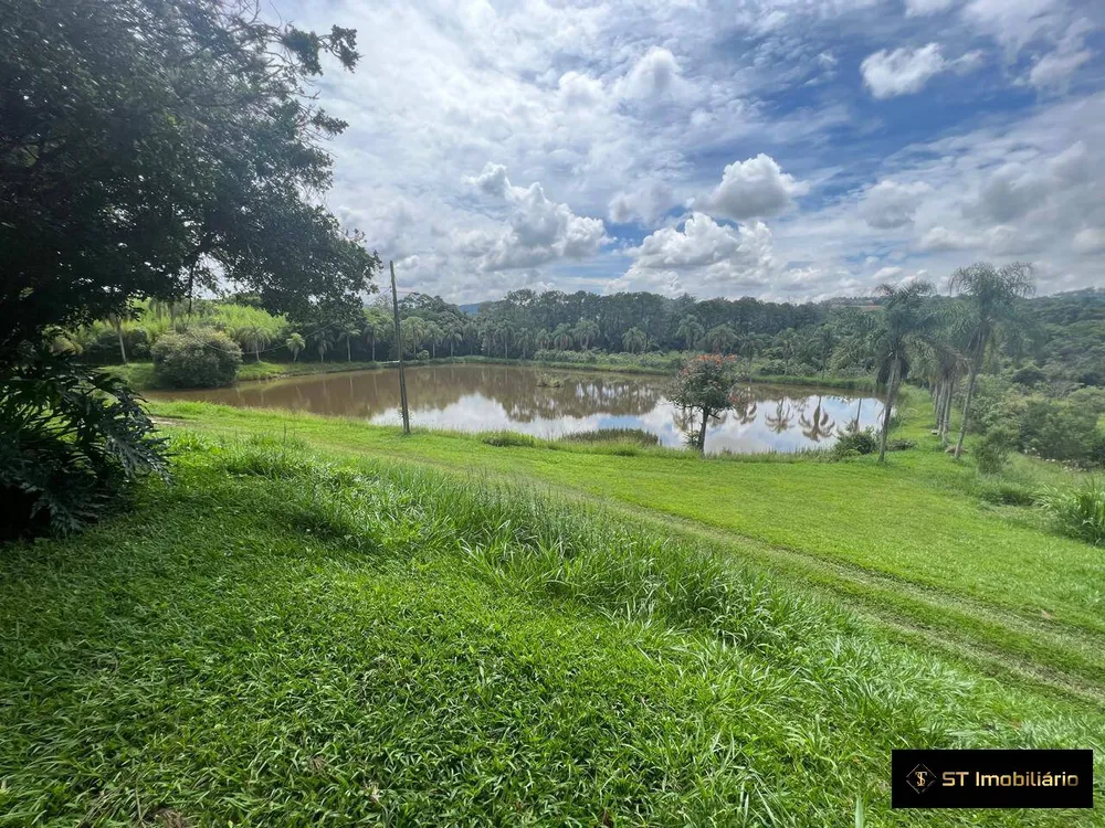 Sítio, 4 quartos, 33 hectares - Foto 10