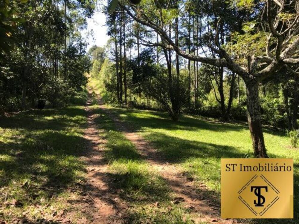 Terreno, 11 hectares - Foto 2