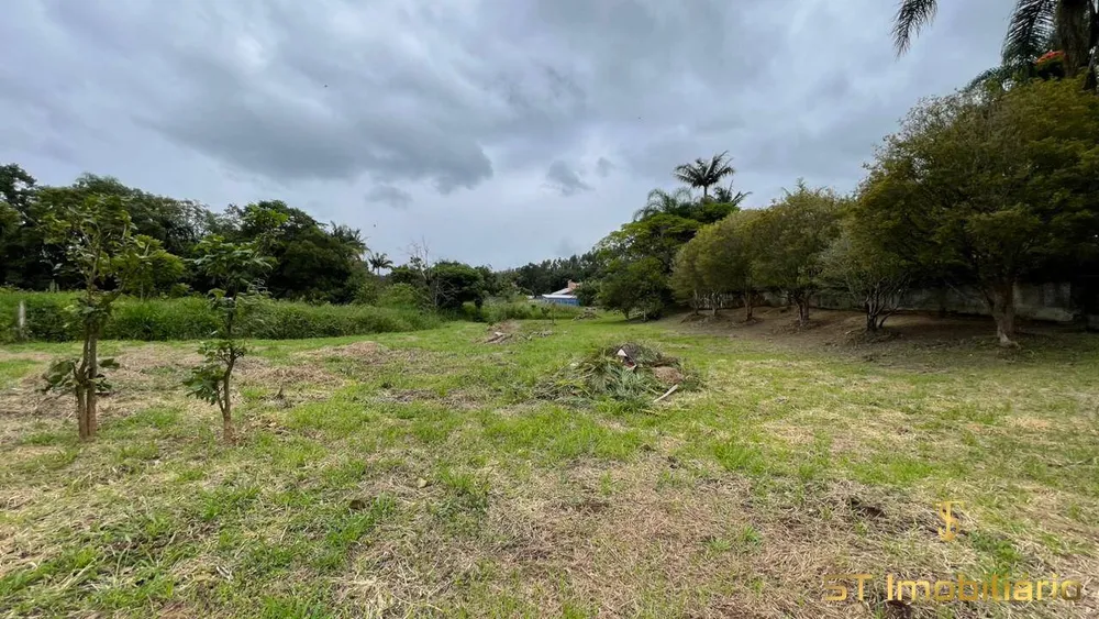 Chácara, 3 quartos, 6000 m² - Foto 2