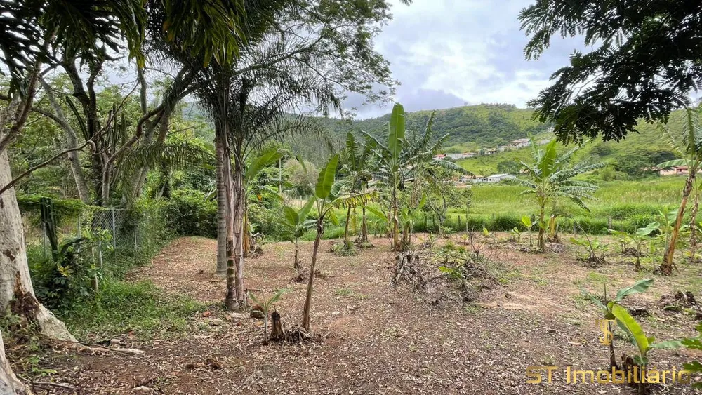 Chácara, 3 quartos, 6000 m² - Foto 8