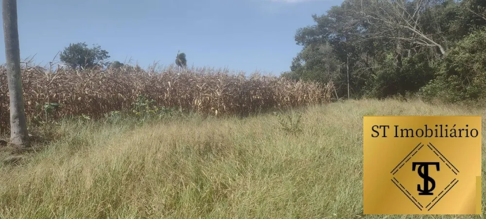 Terreno, 4 hectares - Foto 10