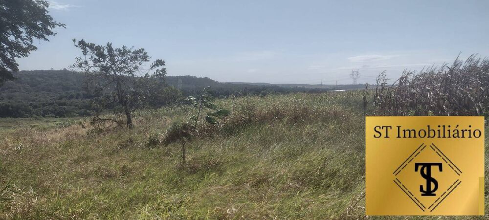 Terreno, 4 hectares - Foto 2