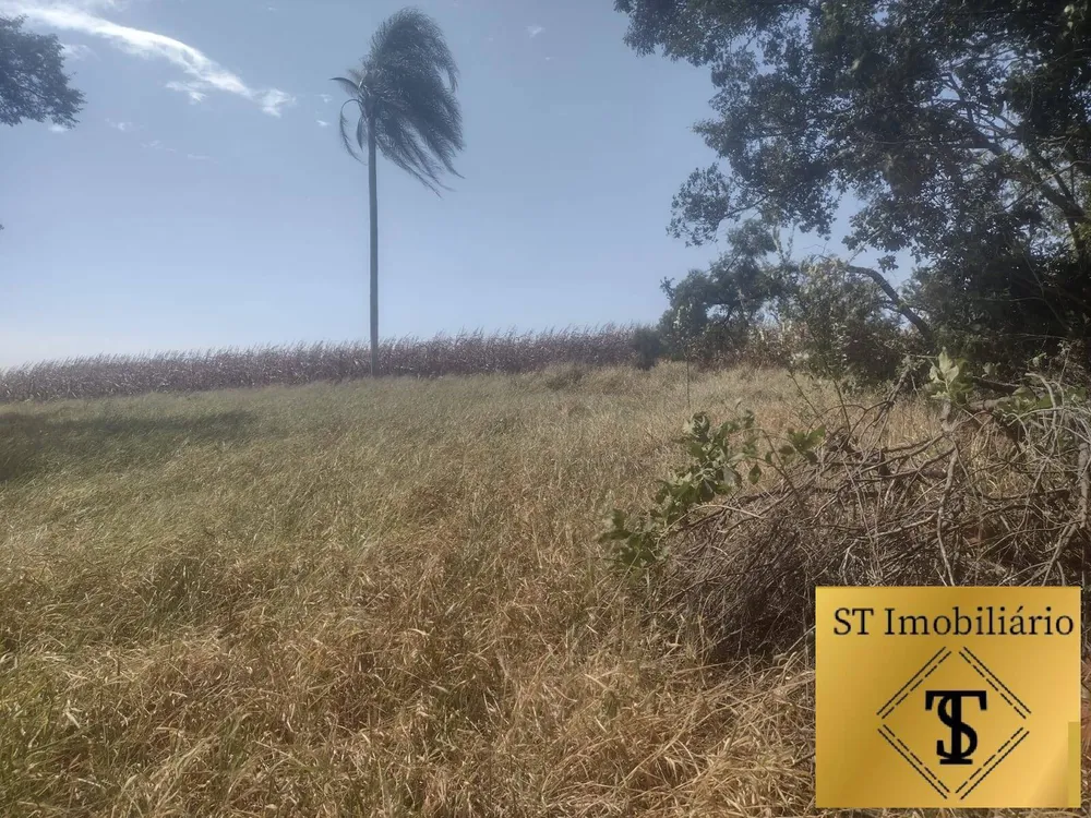 Terreno, 4 hectares - Foto 2