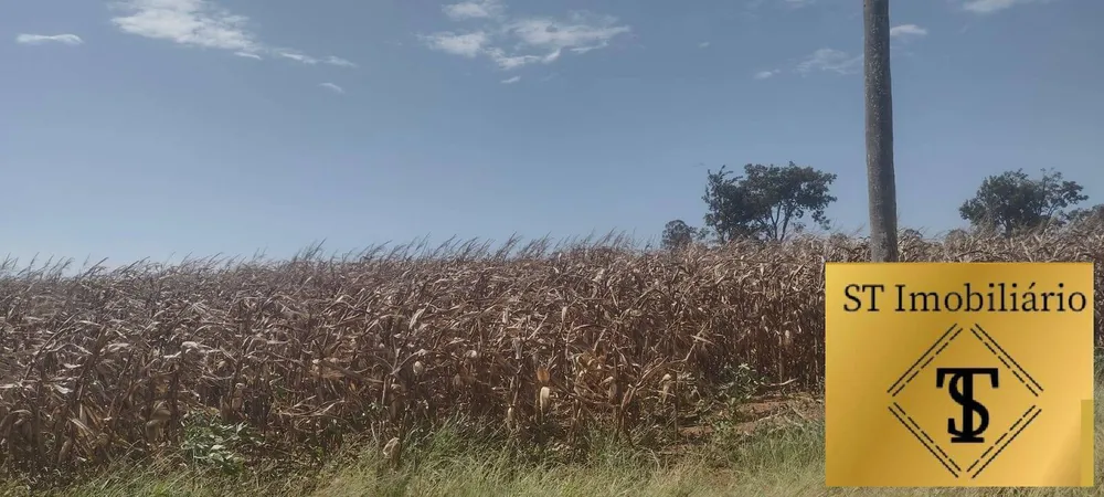 Terreno, 4 hectares - Foto 7
