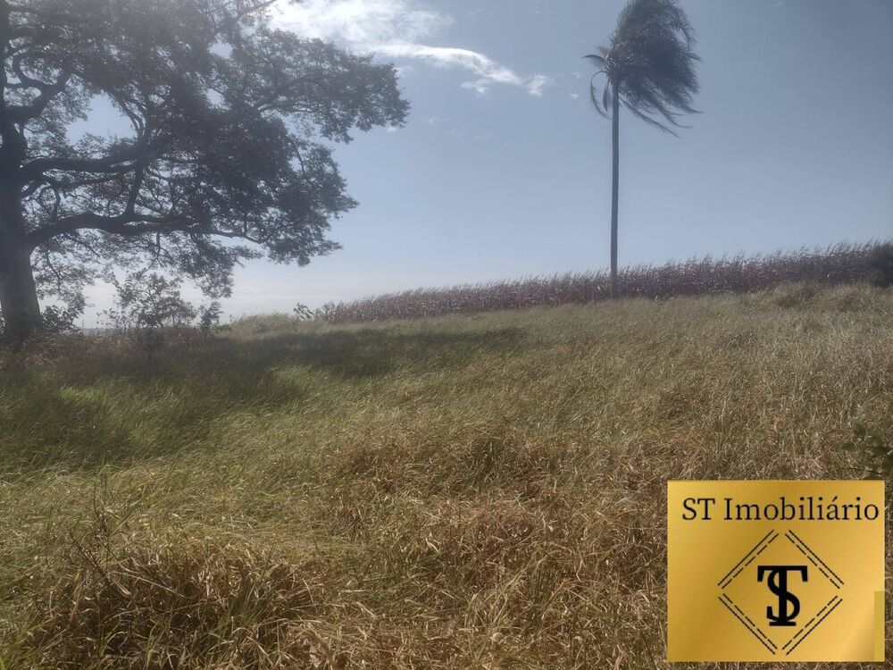 Terreno, 4 hectares - Foto 4