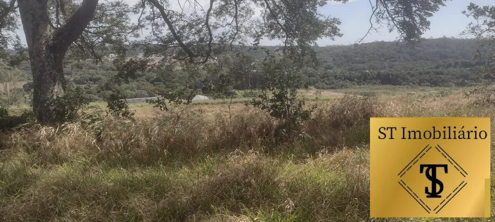 Terreno, 4 hectares - Foto 13