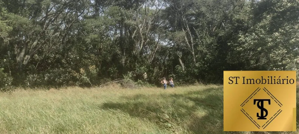 Terreno, 4 hectares - Foto 5