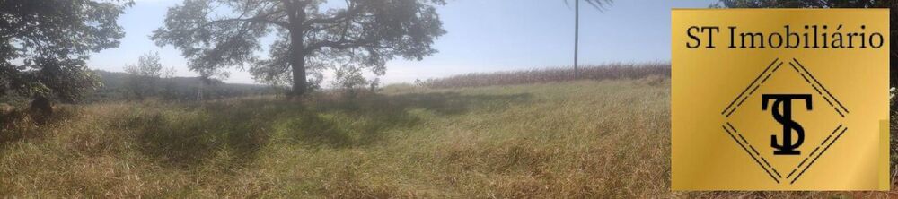 Terreno, 4 hectares - Foto 3