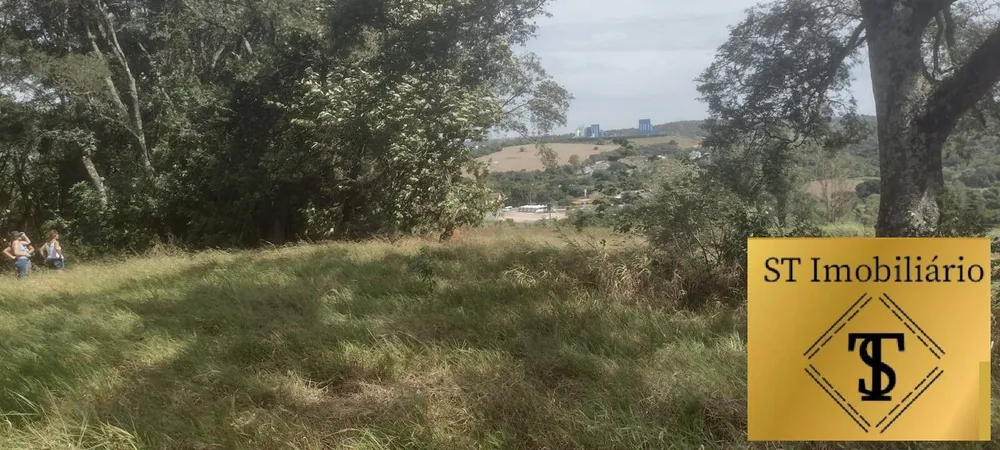 Terreno, 4 hectares - Foto 6