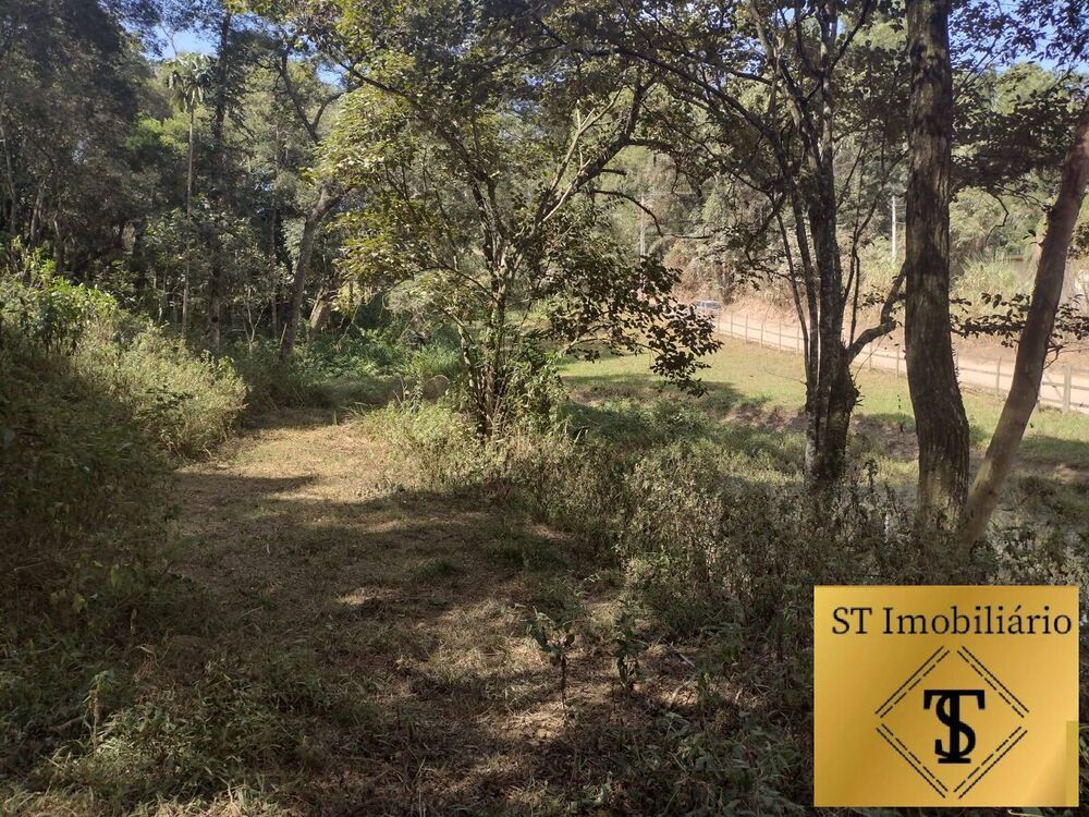 Terreno, 4 hectares - Foto 1