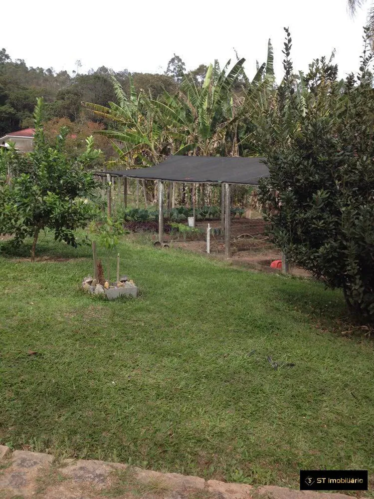 Sítio, 3 quartos, 1 hectares - Foto 3