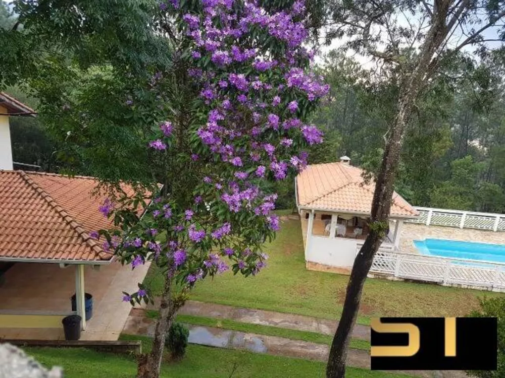 Fazenda à venda com 4 quartos, 8300m² - Foto 2