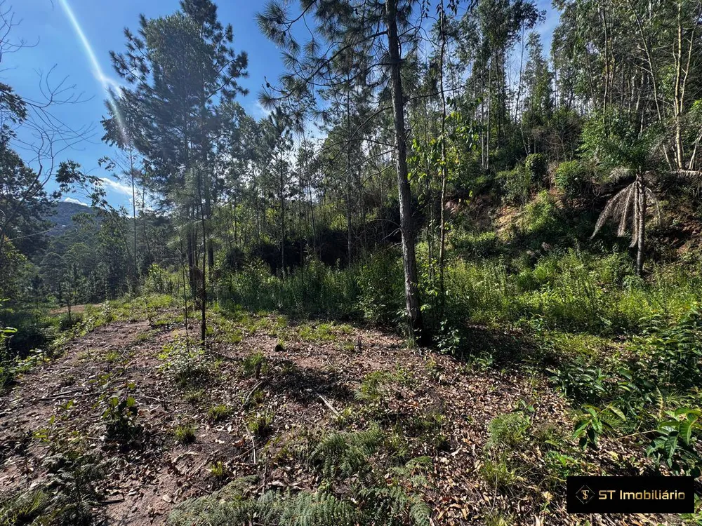 Terreno, 1232 m² - Foto 10