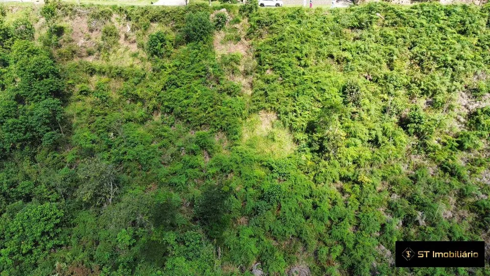 Terreno, 2 hectares - Foto 1