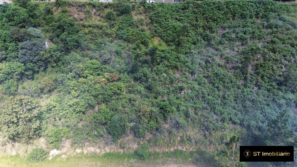 Terreno, 2 hectares - Foto 2