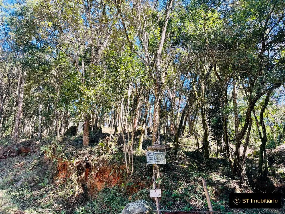 Terreno, 1085 m² - Foto 7
