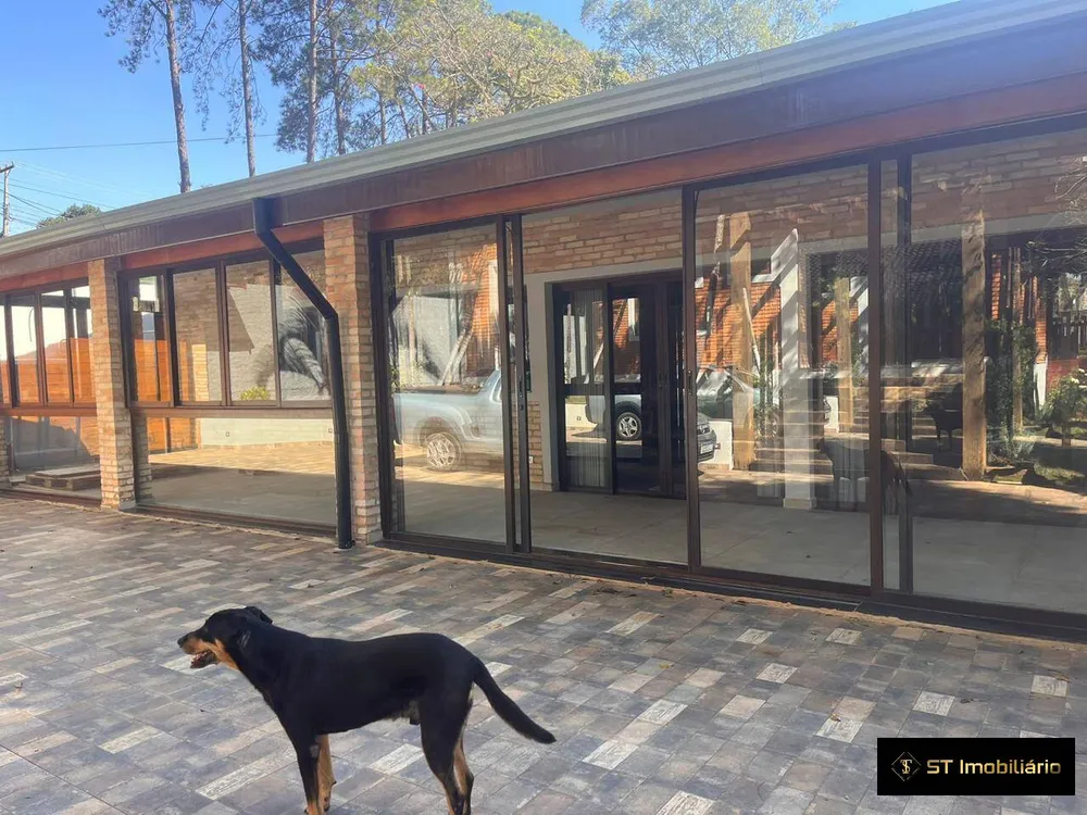 Chácara, 4 quartos, 6000 m² - Foto 6