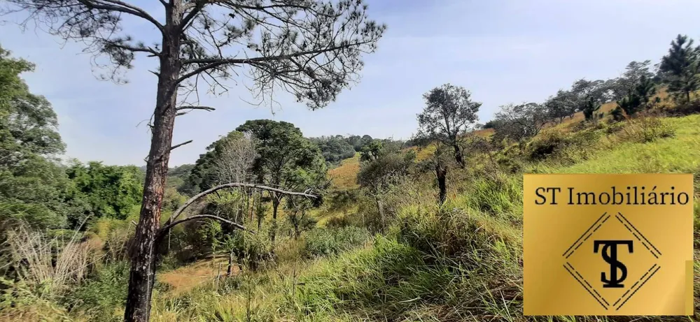 Sítio, 3 quartos, 7 hectares - Foto 8