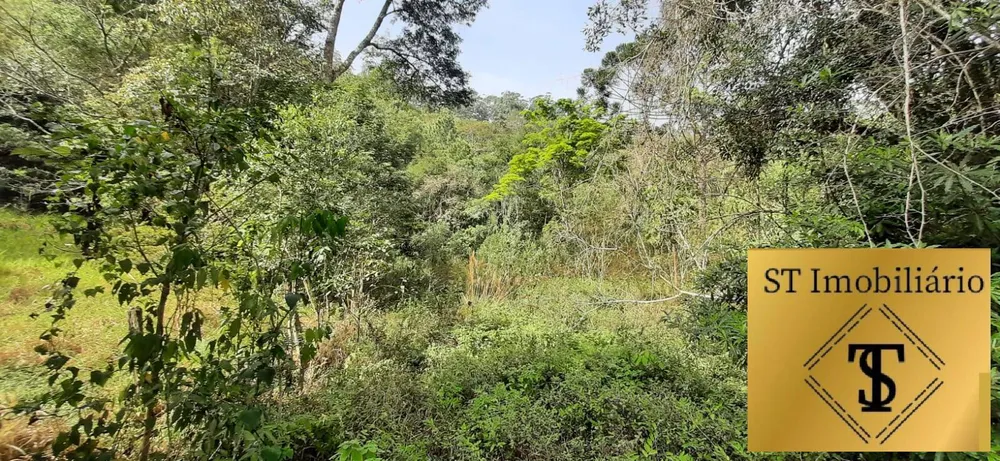 Sítio, 3 quartos, 7 hectares - Foto 12