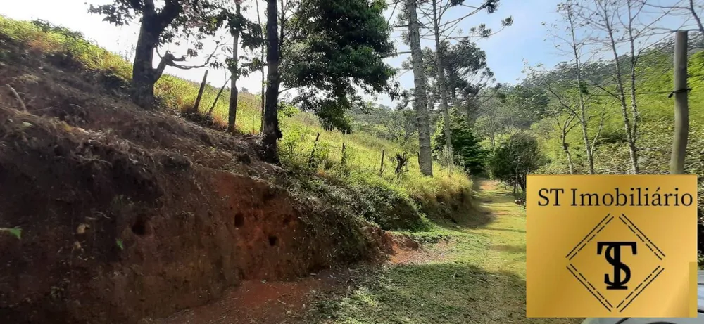 Sítio, 3 quartos, 7 hectares - Foto 4