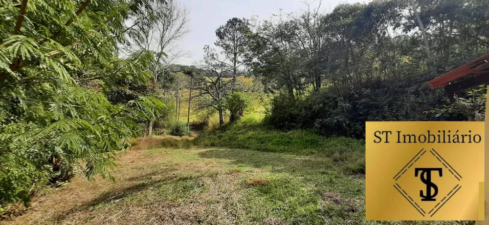 Sítio, 3 quartos, 7 hectares - Foto 7