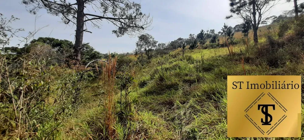 Sítio, 3 quartos, 7 hectares - Foto 11