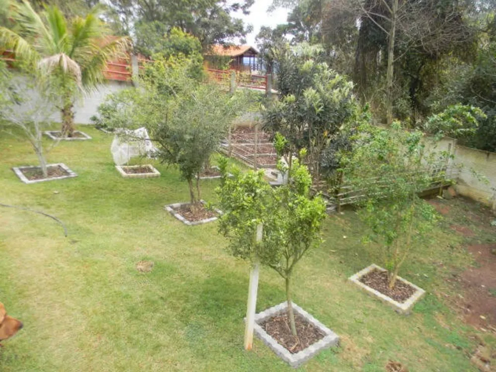 Chácara, 5 quartos, 2220 m² - Foto 9