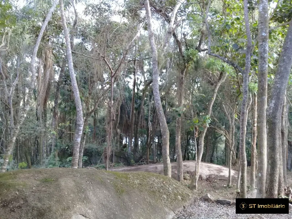 Chácara, 3 quartos, 1200 m² - Foto 1
